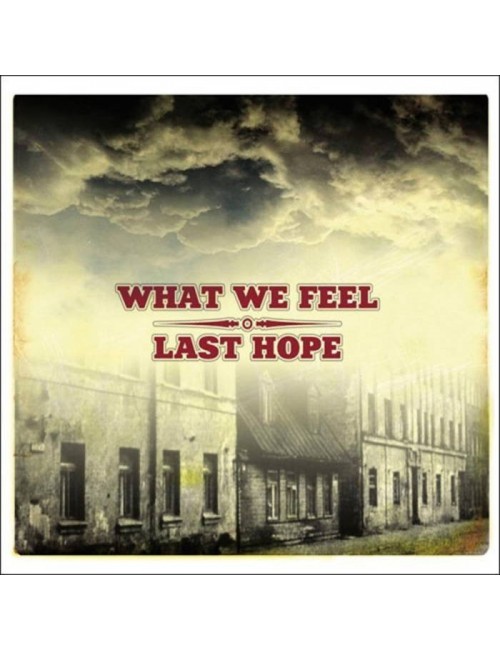7" What We Feel / Last Hope...